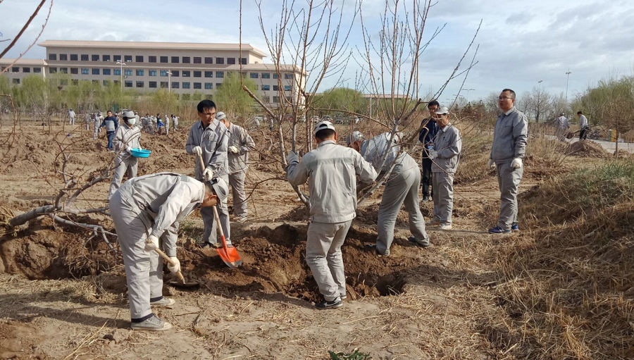 1556066724119864.jpg 柳.jpg