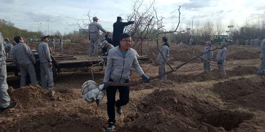 1556066743340832.jpg 5.jpg