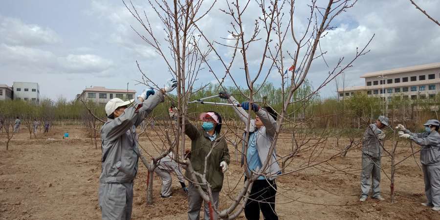 1556066788109950.jpg 8.jpg