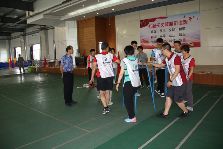 1565316781143994.jpg 不倒森林.jpg