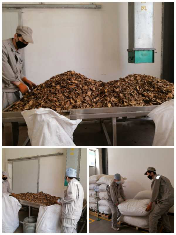 1591059936570281.png 圖片3.png