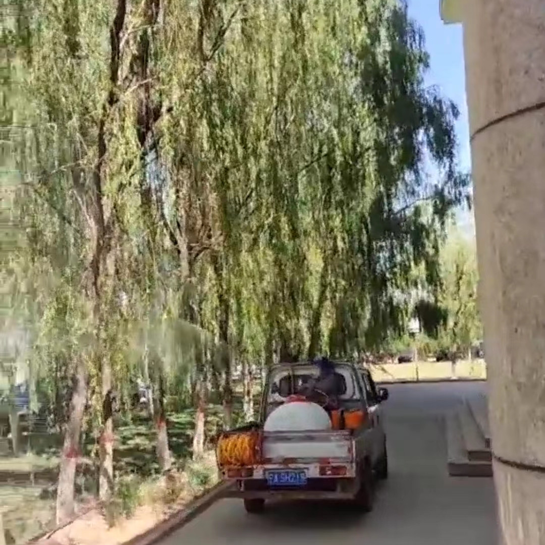 1657697863159044.jpg 1_副本.jpg