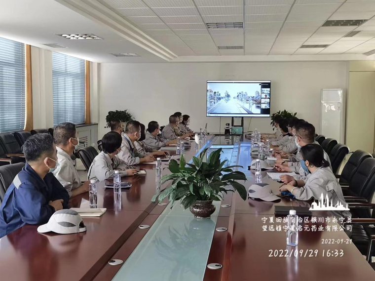 1667540737135691.png 夏茹2_副本.png